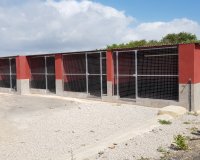 Herverkoop - Finca -
Los Montesinos