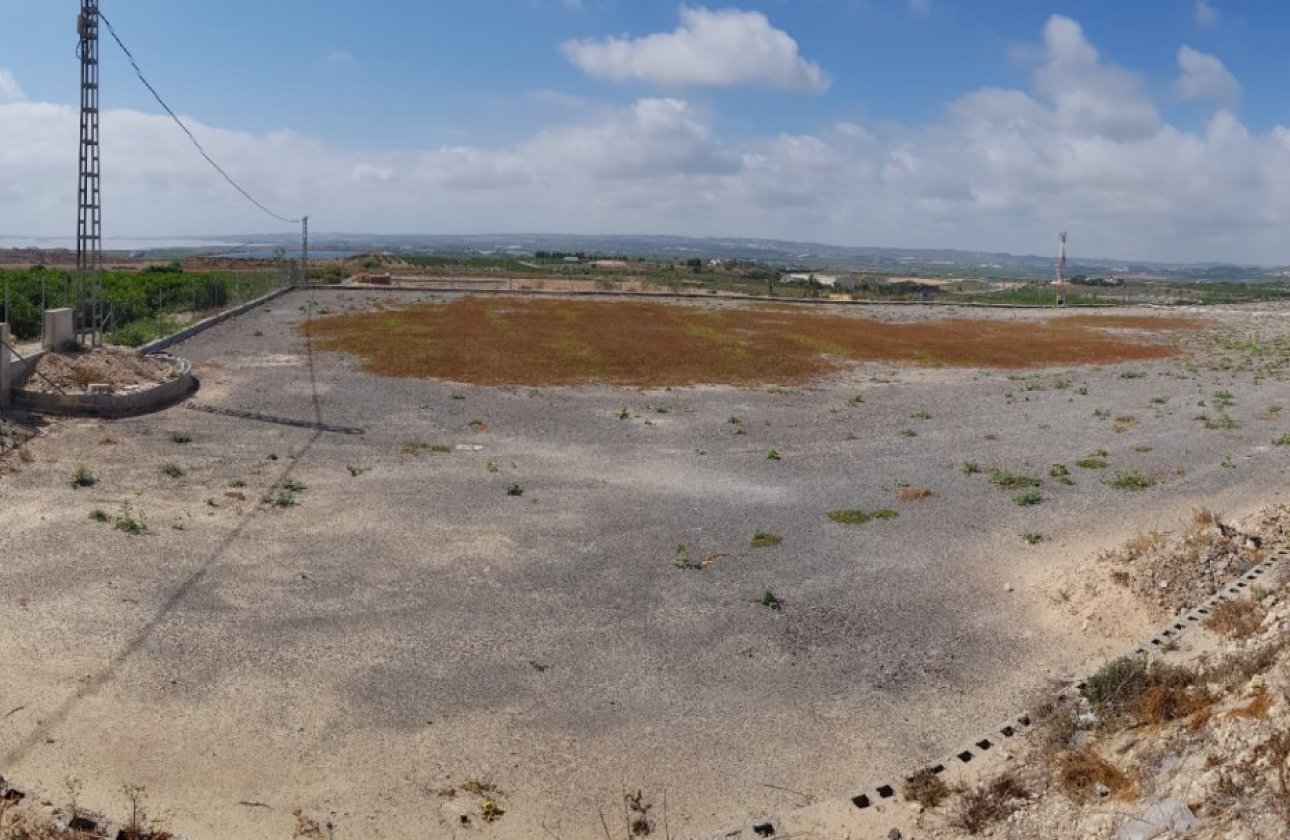 Herverkoop - Finca -
Los Montesinos