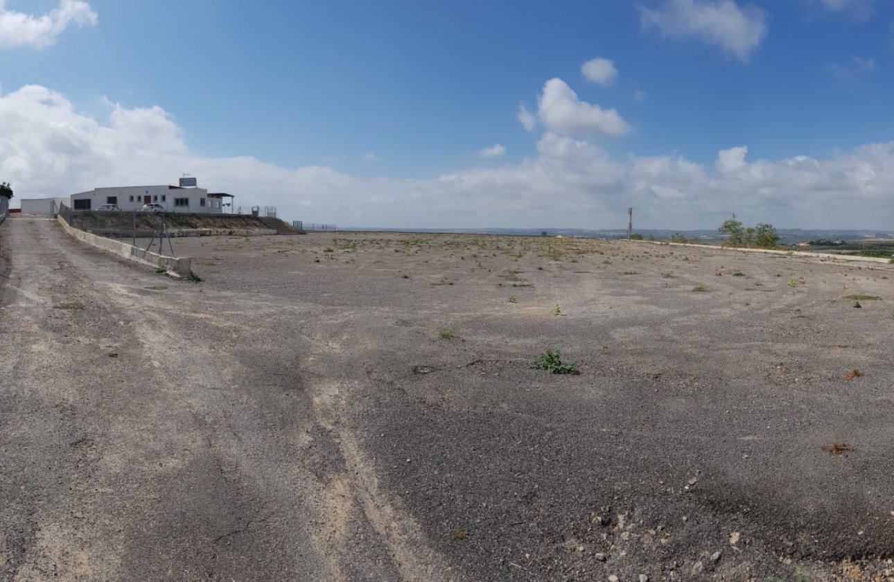 Herverkoop - Finca -
Los Montesinos