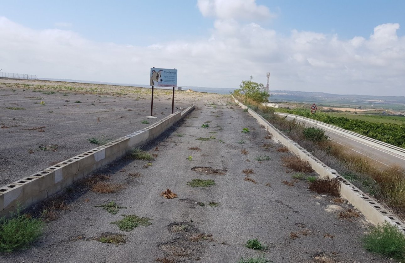 Herverkoop - Finca -
Los Montesinos