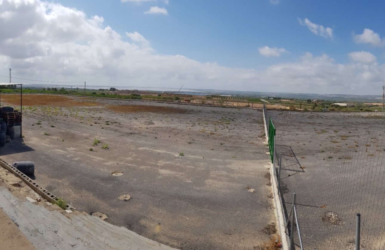 Herverkoop - Finca -
Los Montesinos