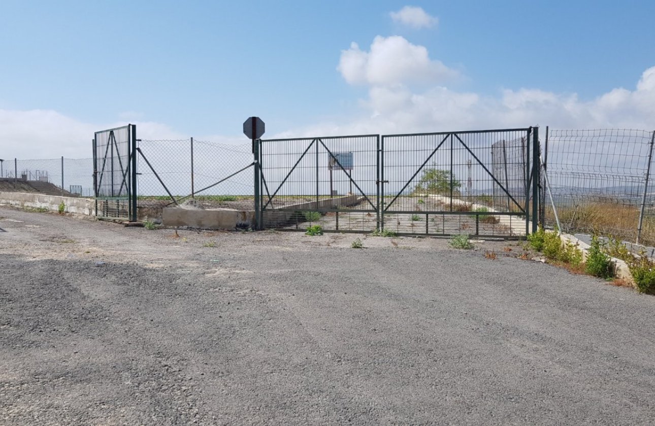 Herverkoop - Finca -
Los Montesinos