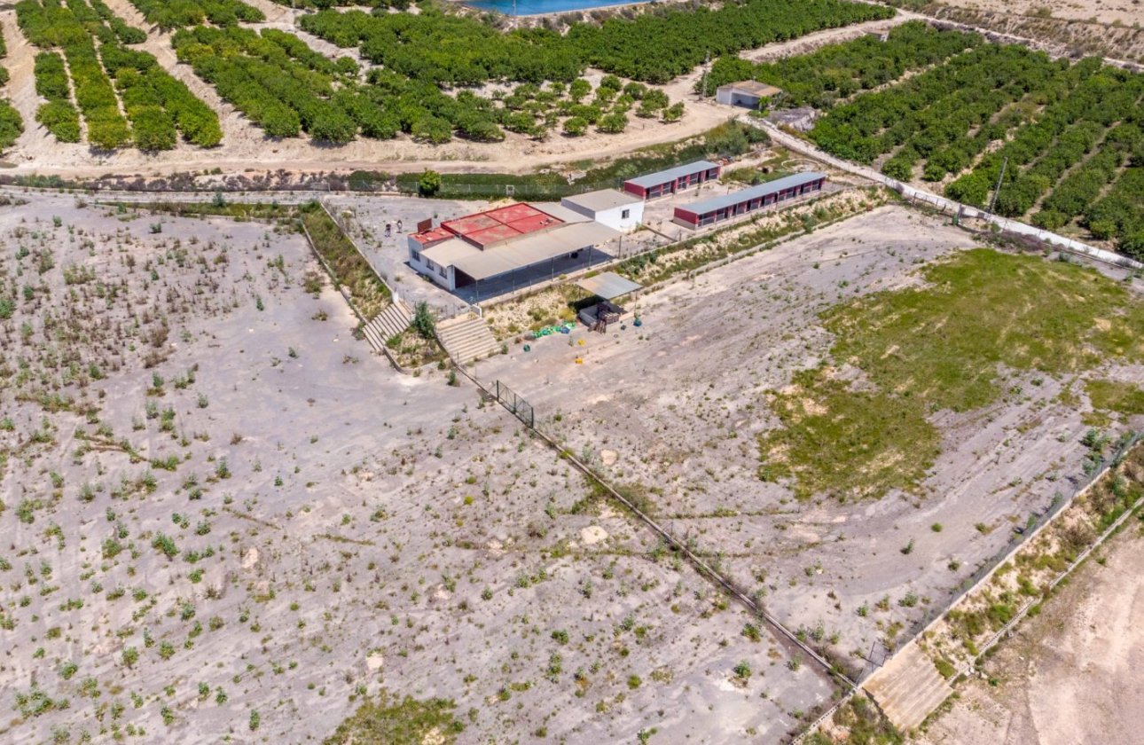 Herverkoop - Finca -
Los Montesinos