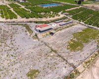 Herverkoop - Finca -
Los Montesinos