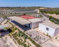 Herverkoop - Finca -
Los Montesinos