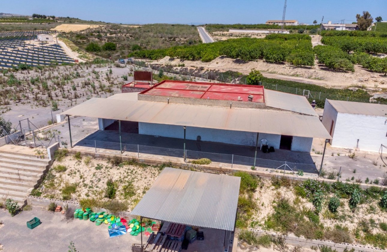 Herverkoop - Finca -
Los Montesinos