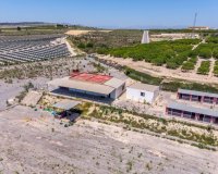 Herverkoop - Finca -
Los Montesinos