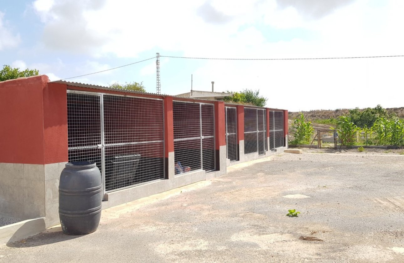 Herverkoop - Finca -
Los Montesinos