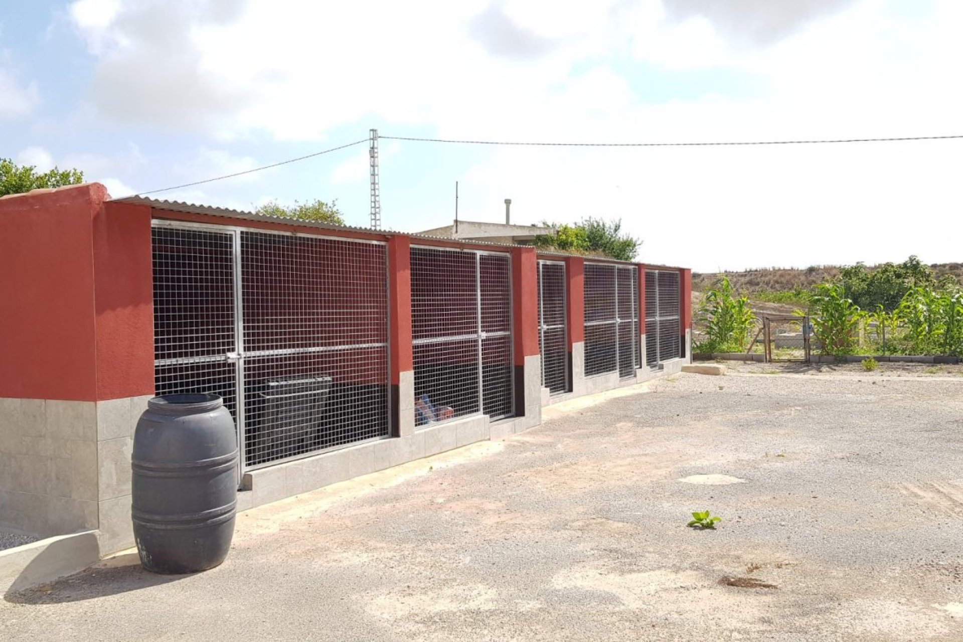 Herverkoop - Finca -
Los Montesinos