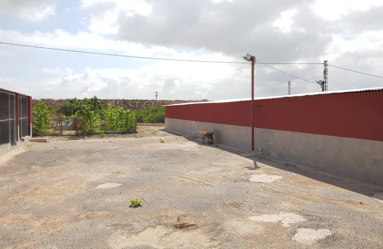 Herverkoop - Finca -
Los Montesinos