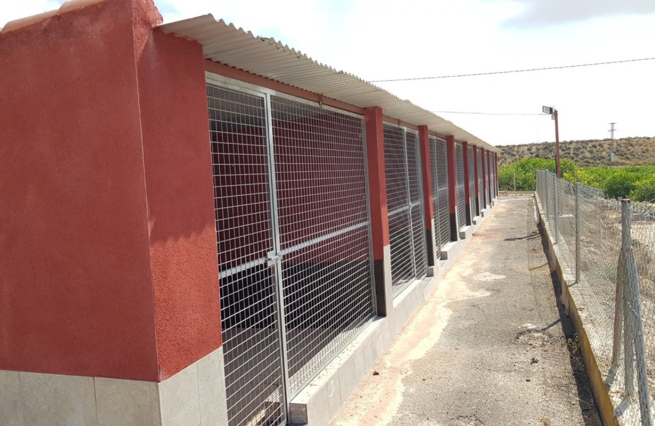 Herverkoop - Finca -
Los Montesinos