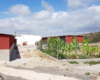 Herverkoop - Finca -
Los Montesinos