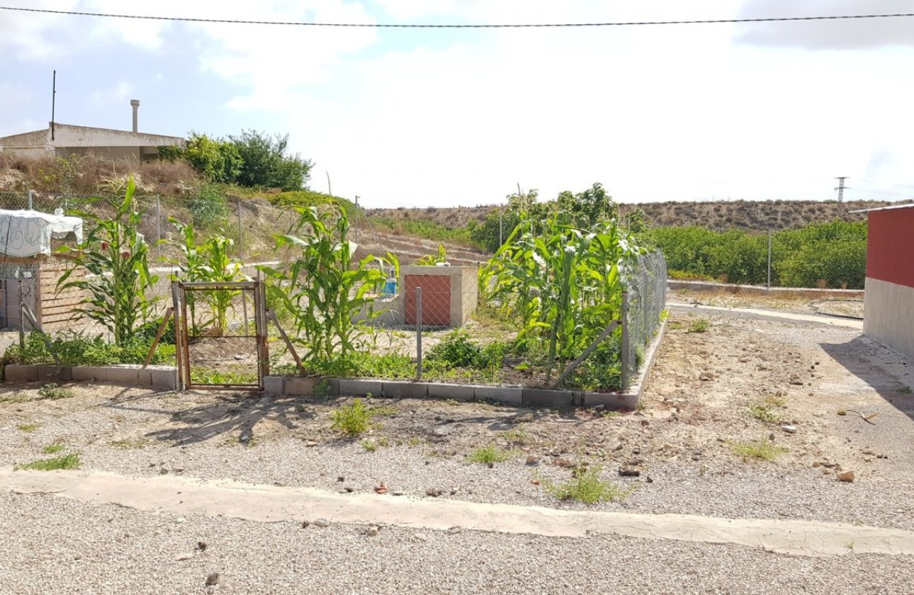 Herverkoop - Finca -
Los Montesinos