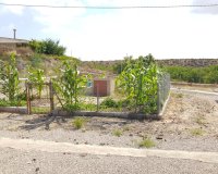 Herverkoop - Finca -
Los Montesinos