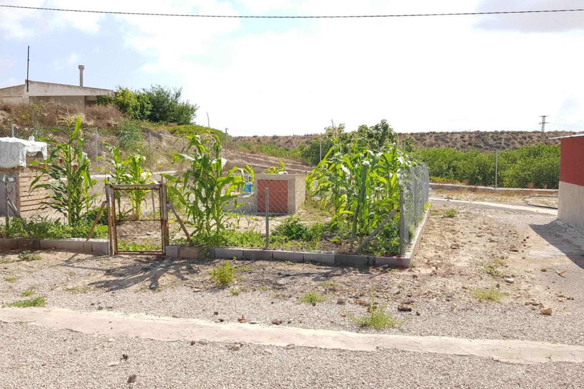 Herverkoop - Finca -
Los Montesinos