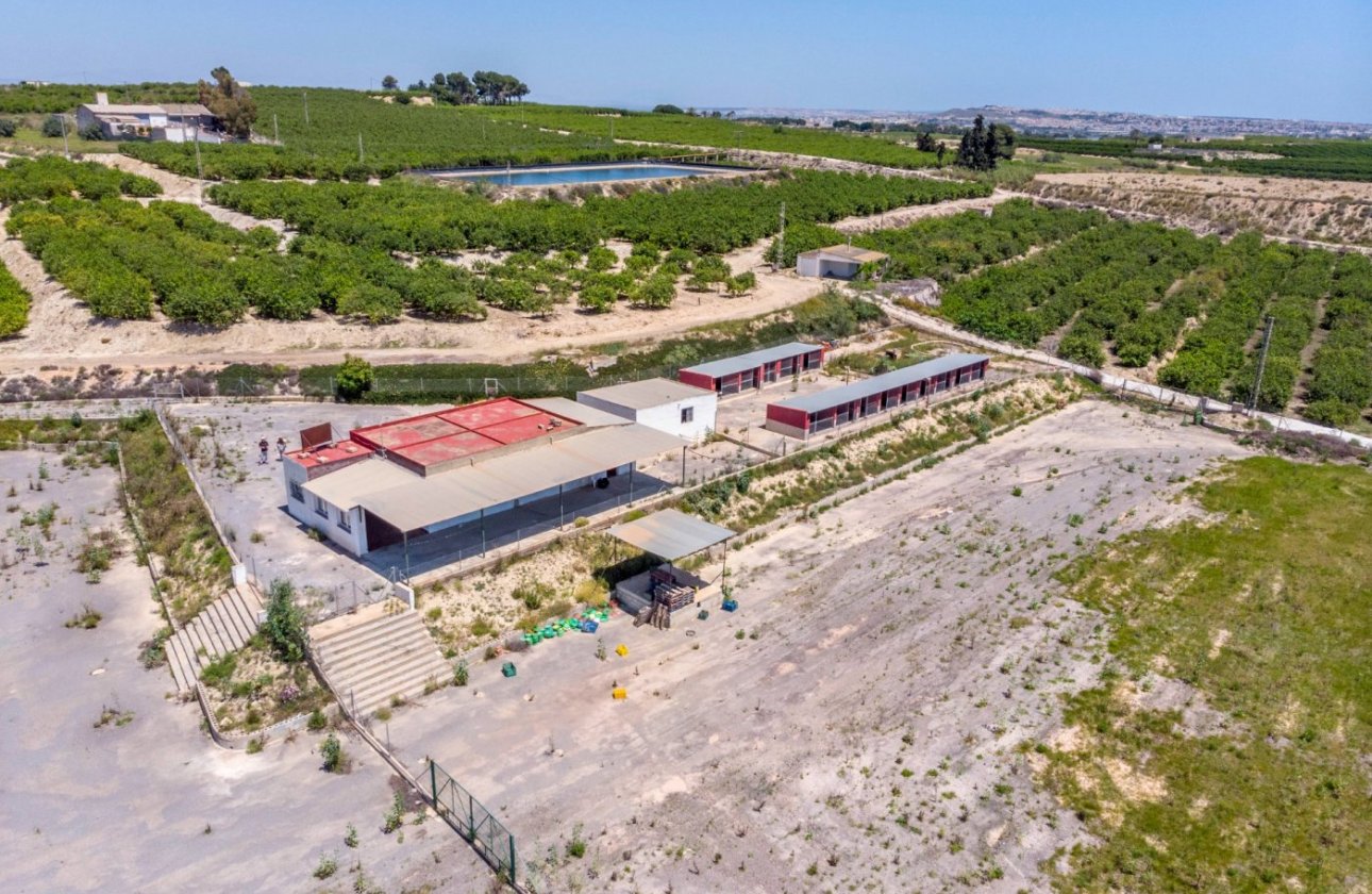 Herverkoop - Finca -
Los Montesinos