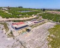 Herverkoop - Finca -
Los Montesinos