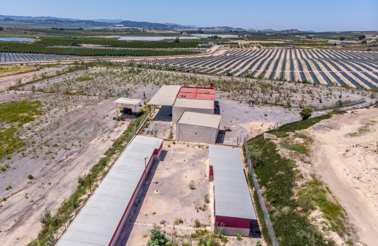 Herverkoop - Finca -
Los Montesinos