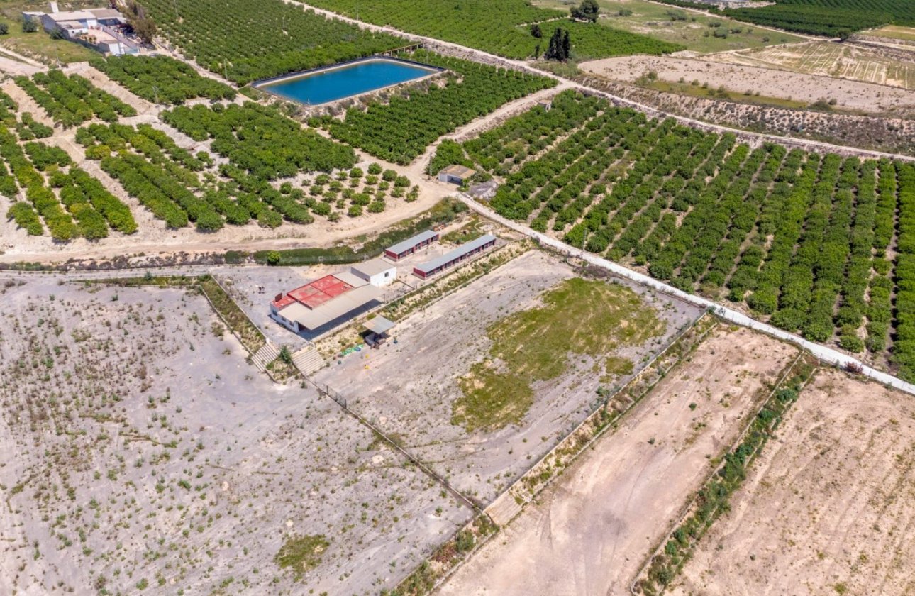Herverkoop - Finca -
Los Montesinos