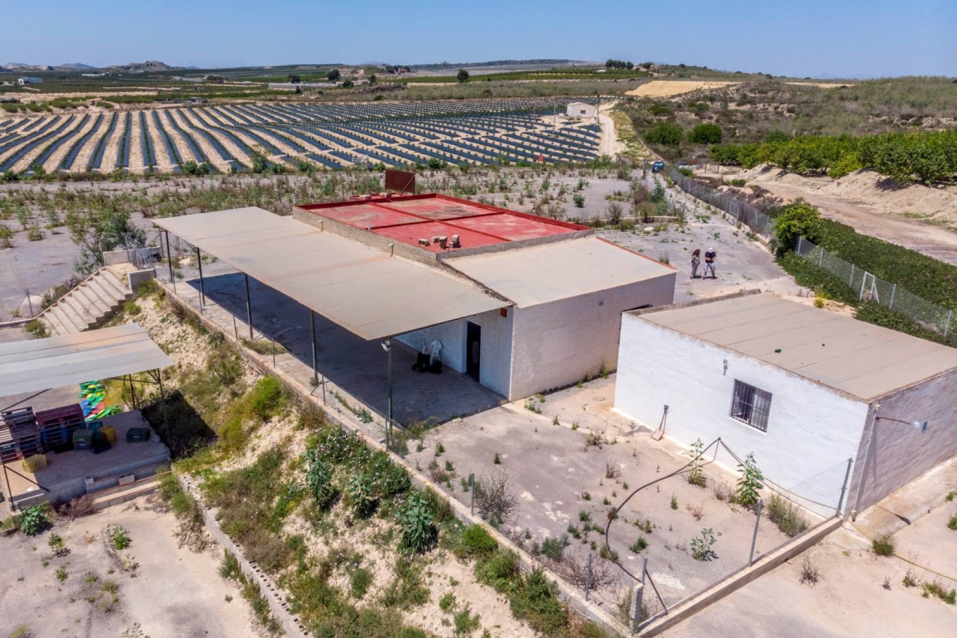 Herverkoop - Finca -
Los Montesinos
