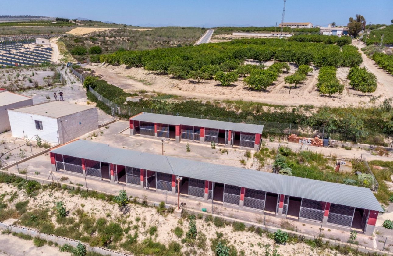 Herverkoop - Finca -
Los Montesinos