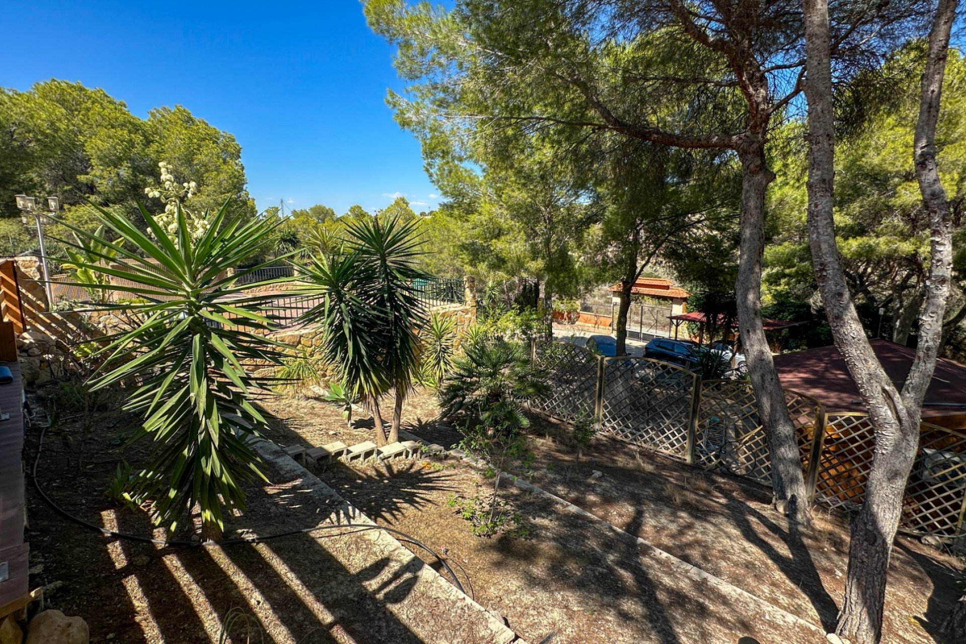 Herverkoop - Finca -
San Miguel de Salinas - Inland