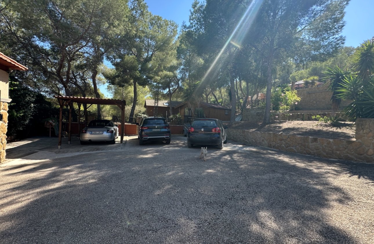 Herverkoop - Finca -
San Miguel de Salinas - Inland