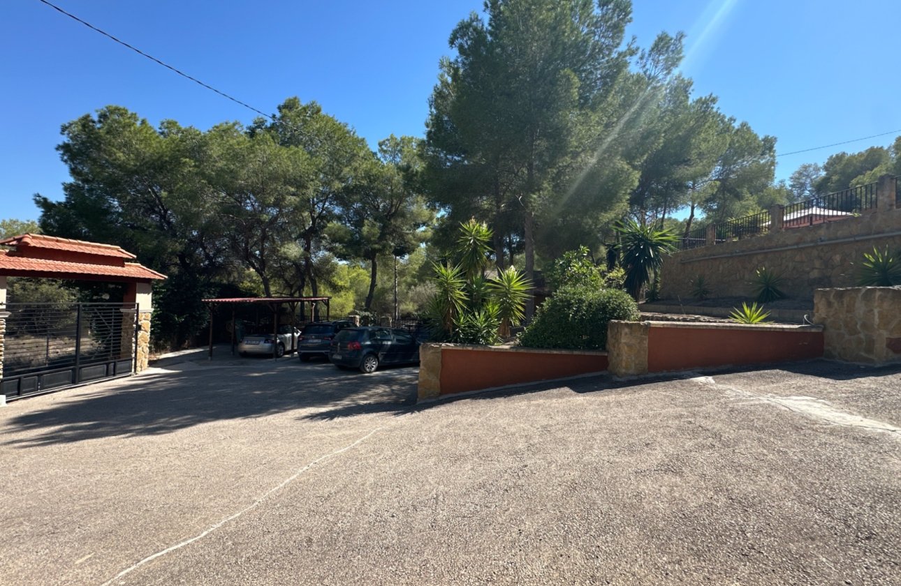 Herverkoop - Finca -
San Miguel de Salinas - Inland