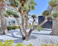 Herverkoop - Penthouse -
Orihuela Costa - Costa Blanca