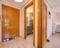 Herverkoop - Penthouse -
Torrevieja - Centro