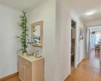 Herverkoop - Penthouse -
Torrevieja - Habaneras