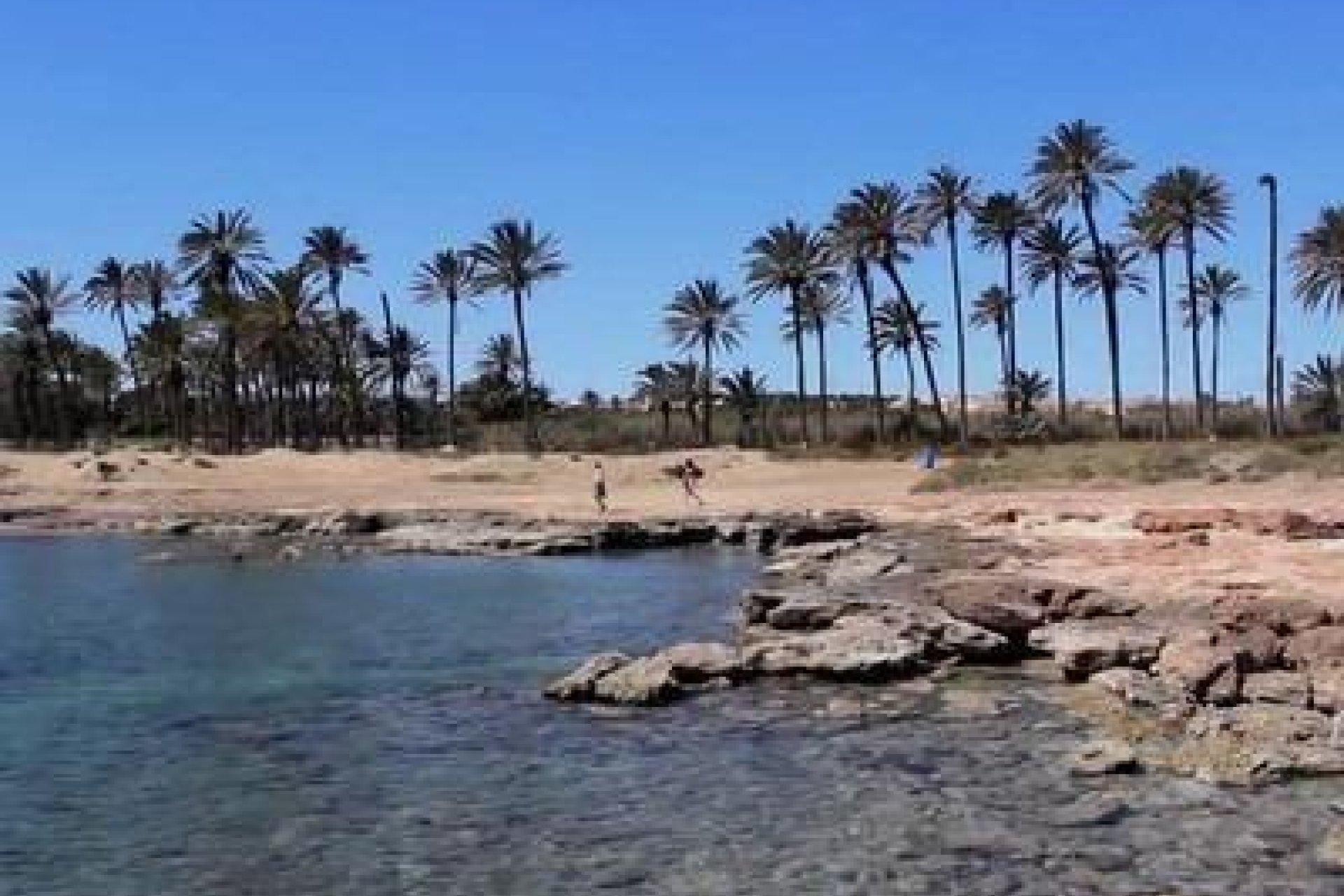 Herverkoop - Penthouse -
Torrevieja - La Veleta