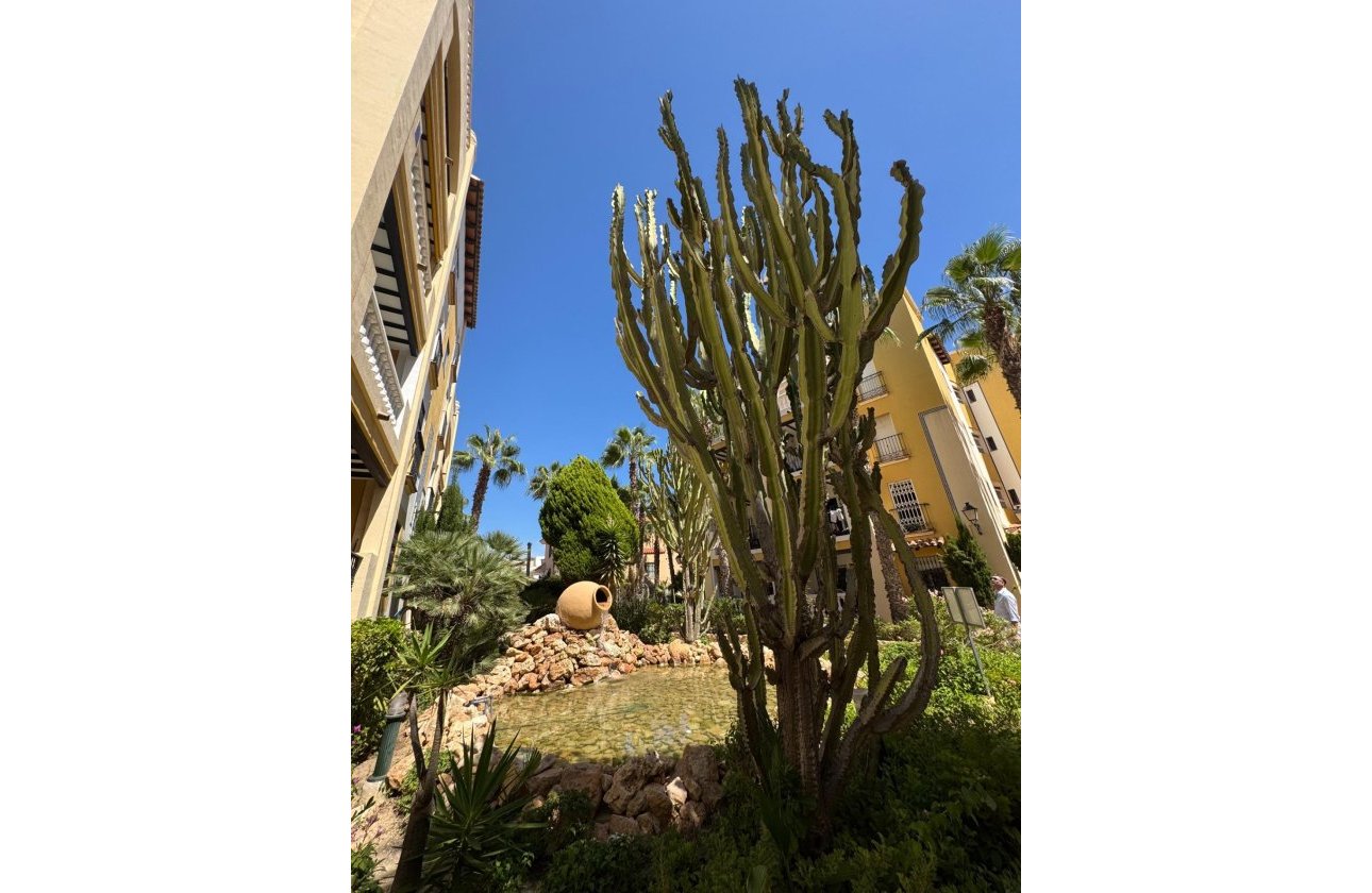 Herverkoop - Penthouse -
Torrevieja - Los Frutales