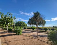 Herverkoop - Town House -
Los Montesinos - Los Montesinos - Urb. La Herrada