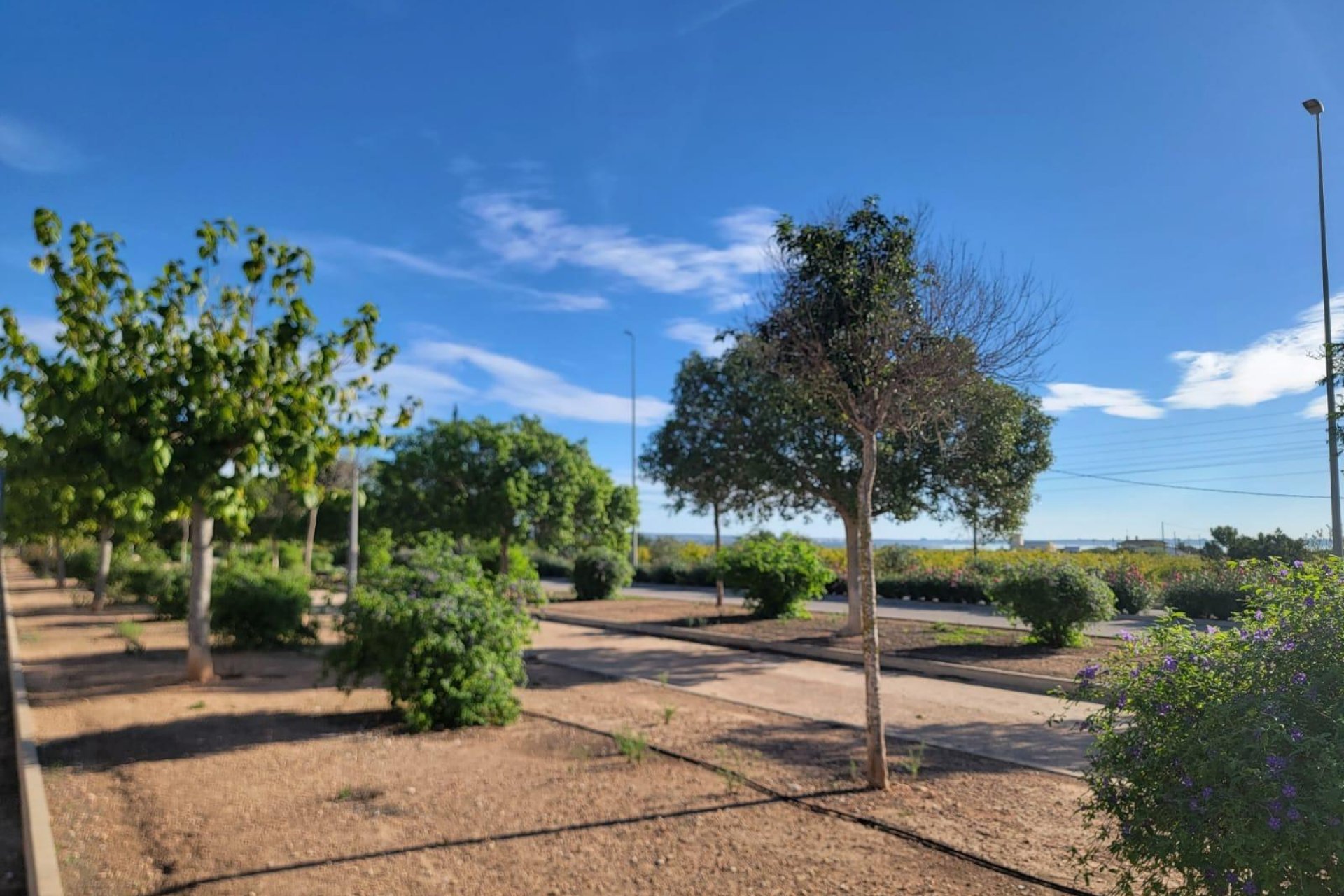 Herverkoop - Town House -
Los Montesinos - Los Montesinos - Urb. La Herrada