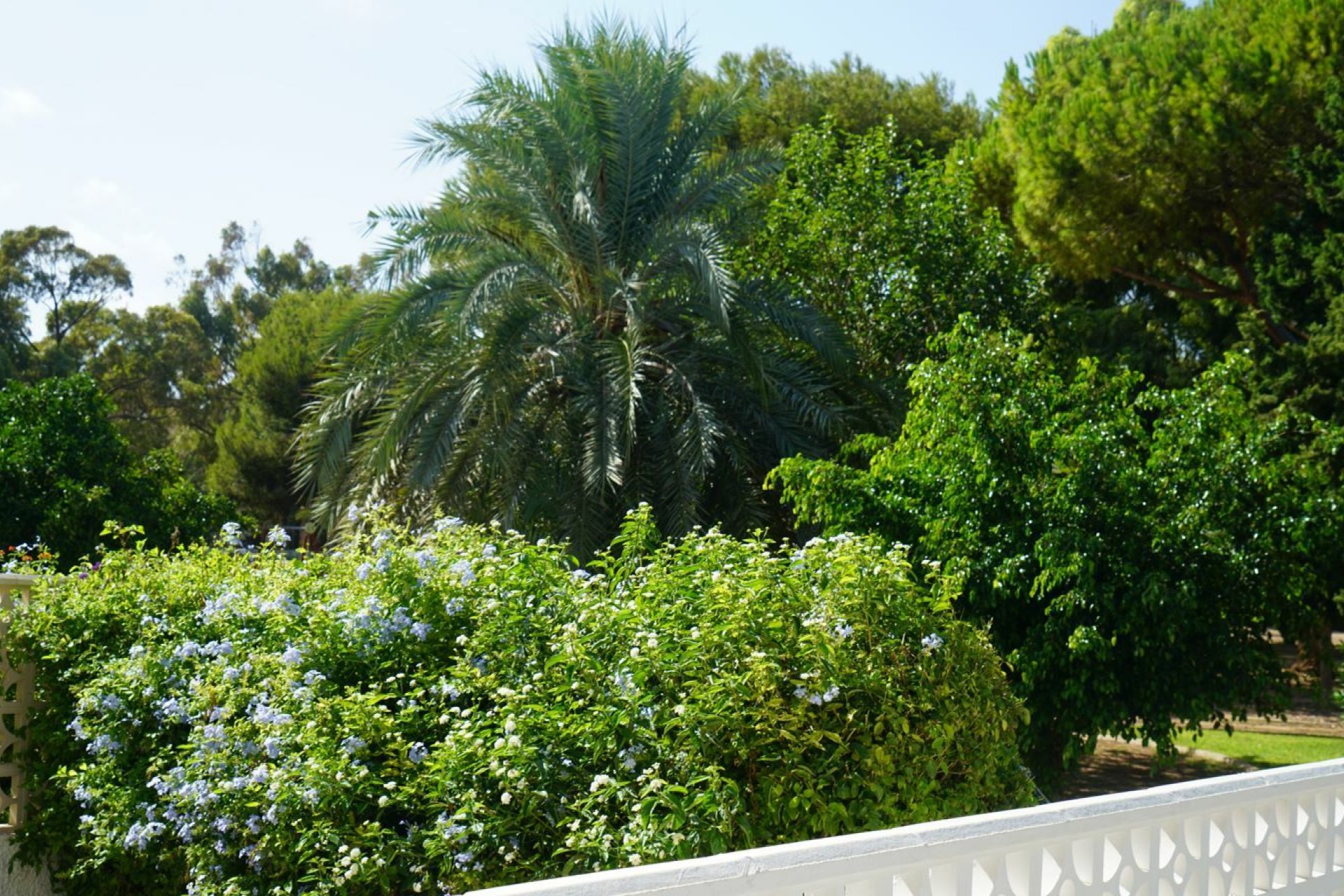 Herverkoop - Town House -
Orihuela Costa - Costa Blanca