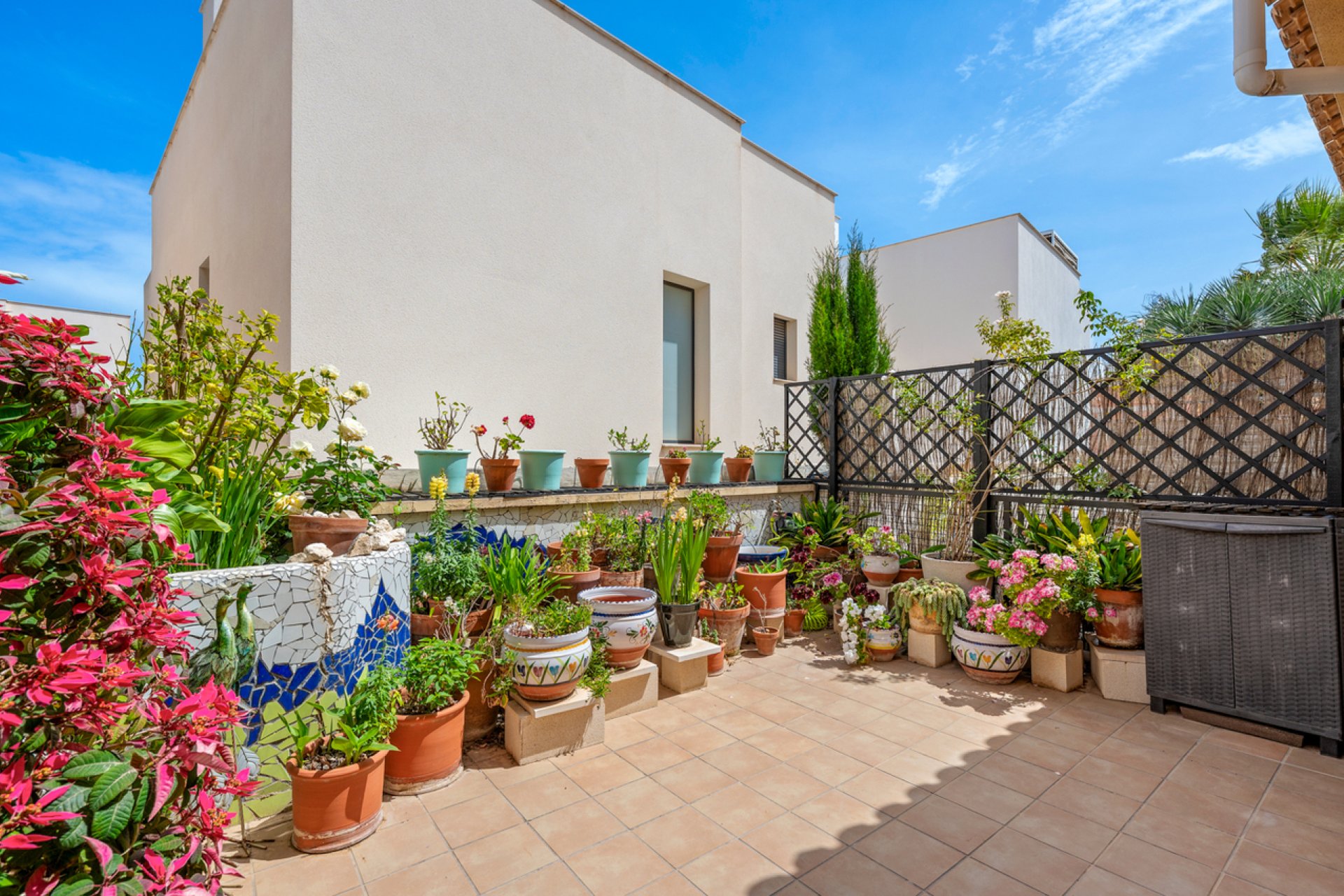 Herverkoop - Town House -
San Miguel de Salinas - Inland