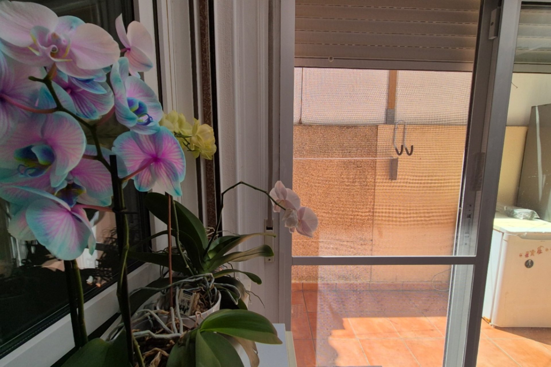 Herverkoop - Town House -
Torrevieja - Costa Blanca