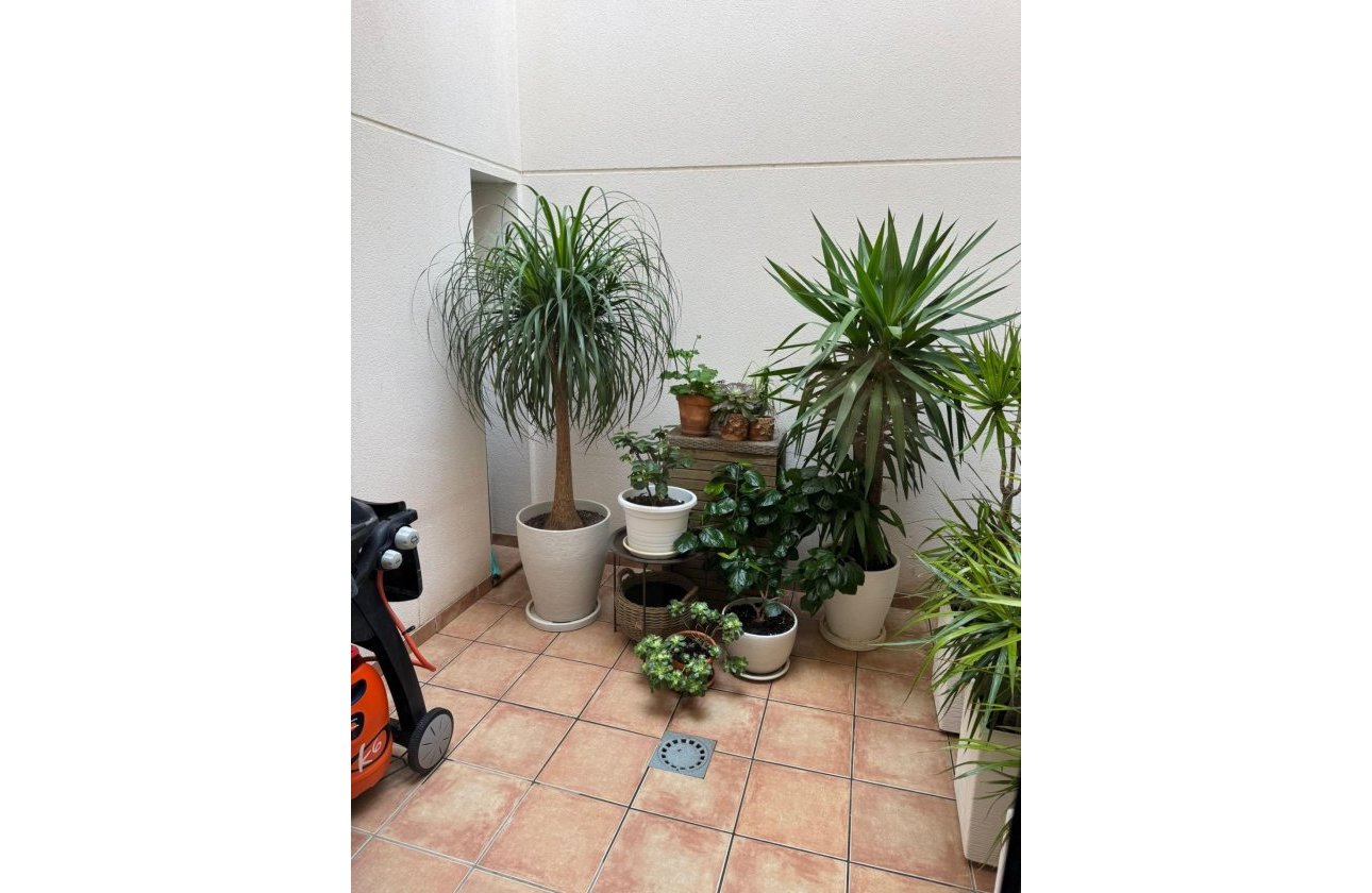 Herverkoop - Town House -
Torrevieja - Punta Prima