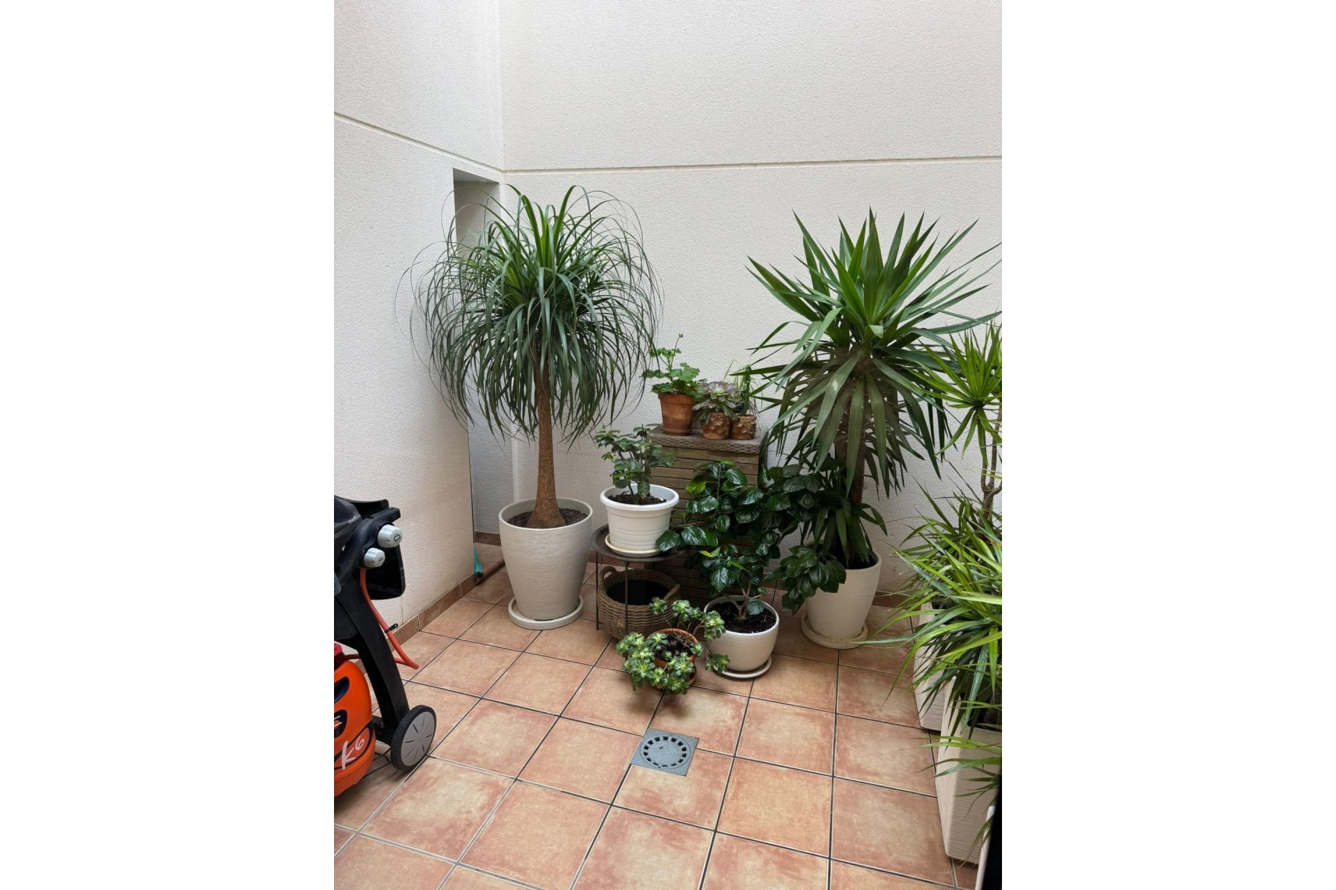 Herverkoop - Town House -
Torrevieja - Punta Prima