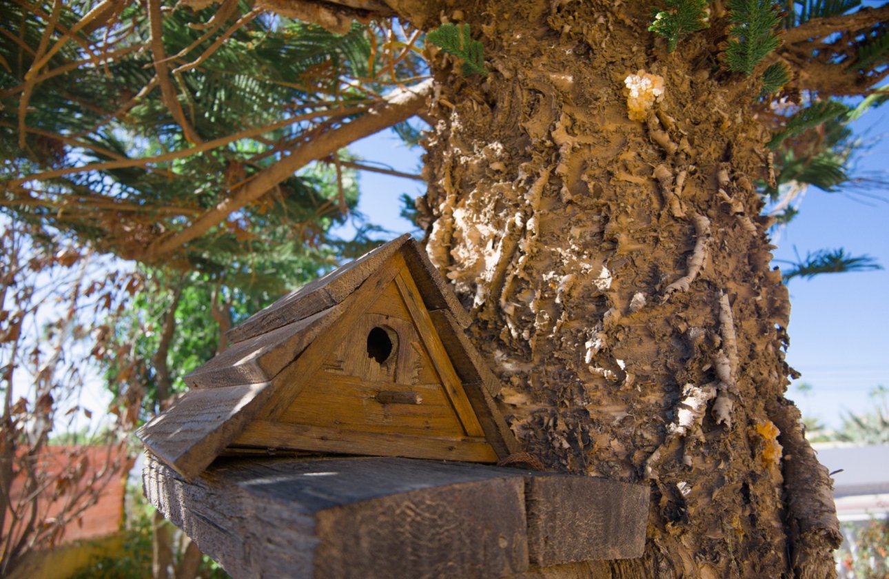 Herverkoop - Villa -
La Siesta - Costa Blanca