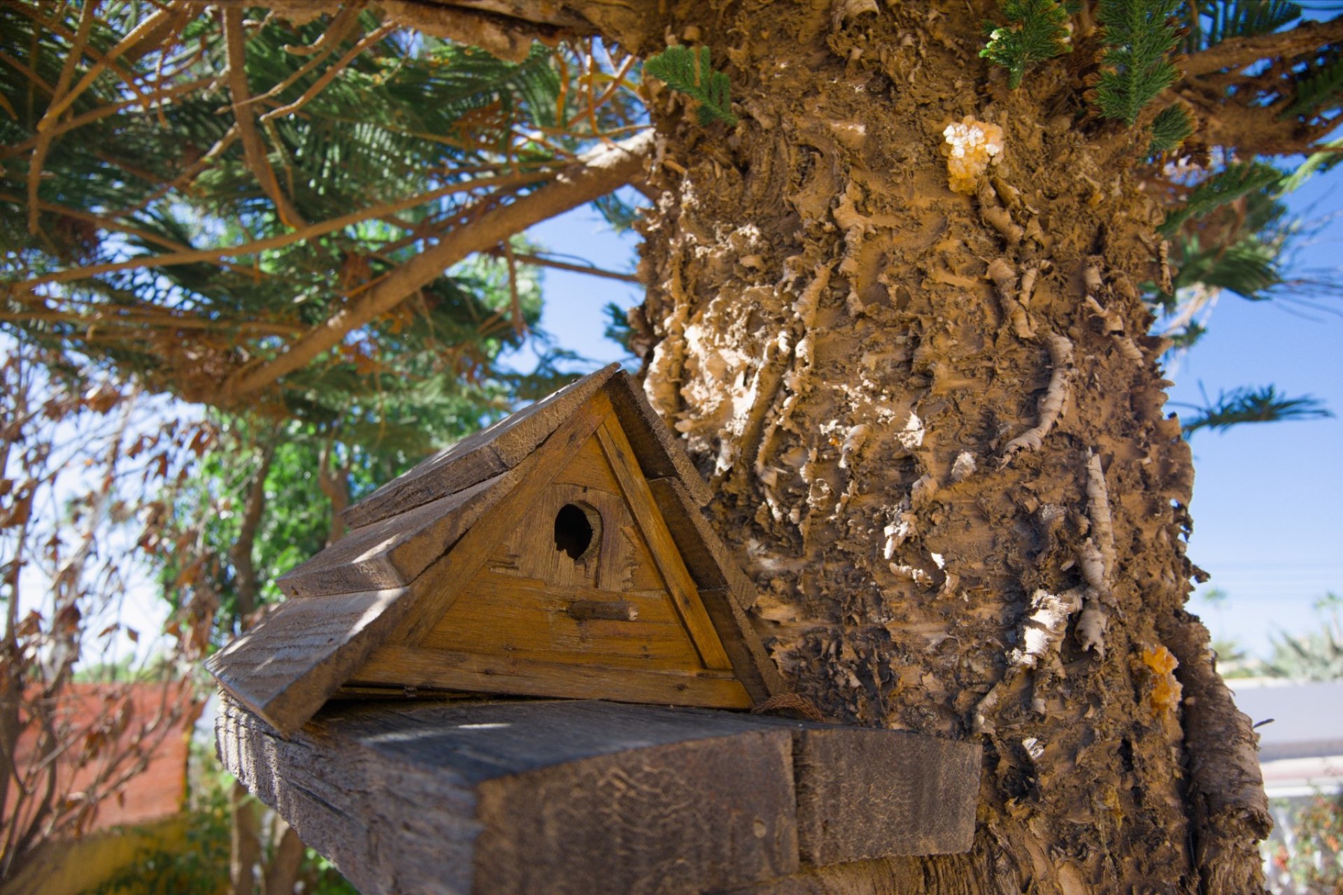 Herverkoop - Villa -
La Siesta - Costa Blanca