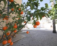 Herverkoop - Villa -
La Zenia - Costa Blanca