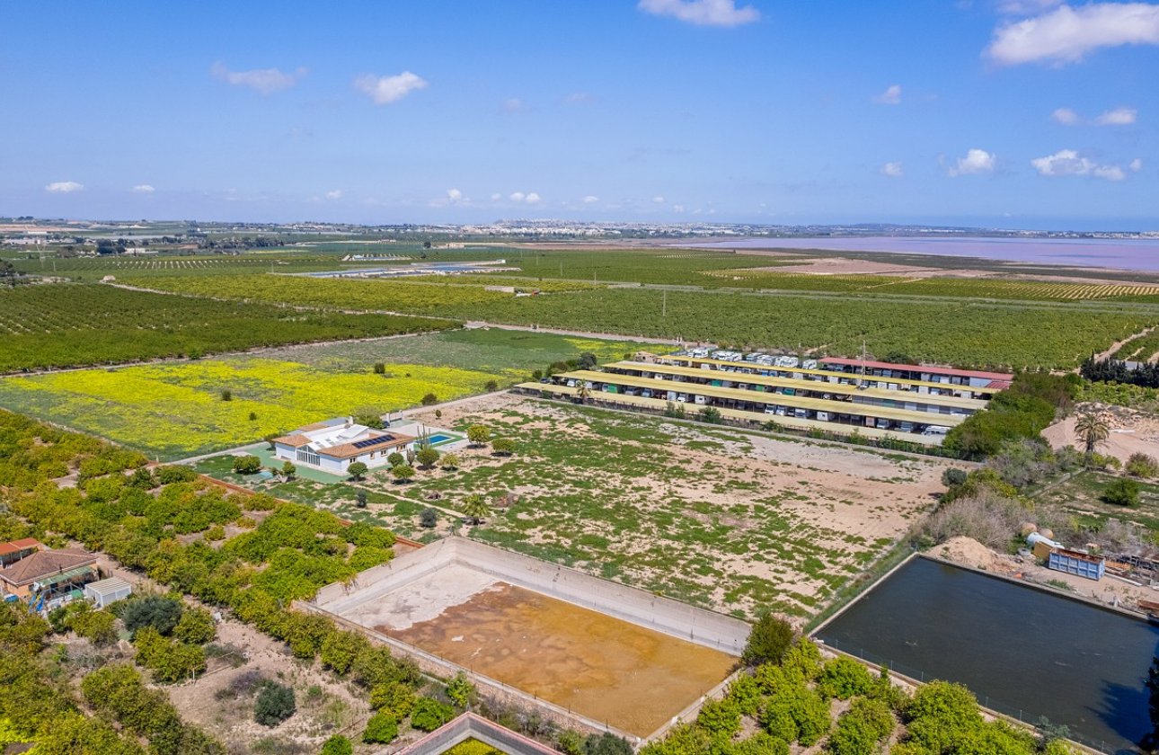 Herverkoop - Villa -
Los Montesinos - Costa Blanca