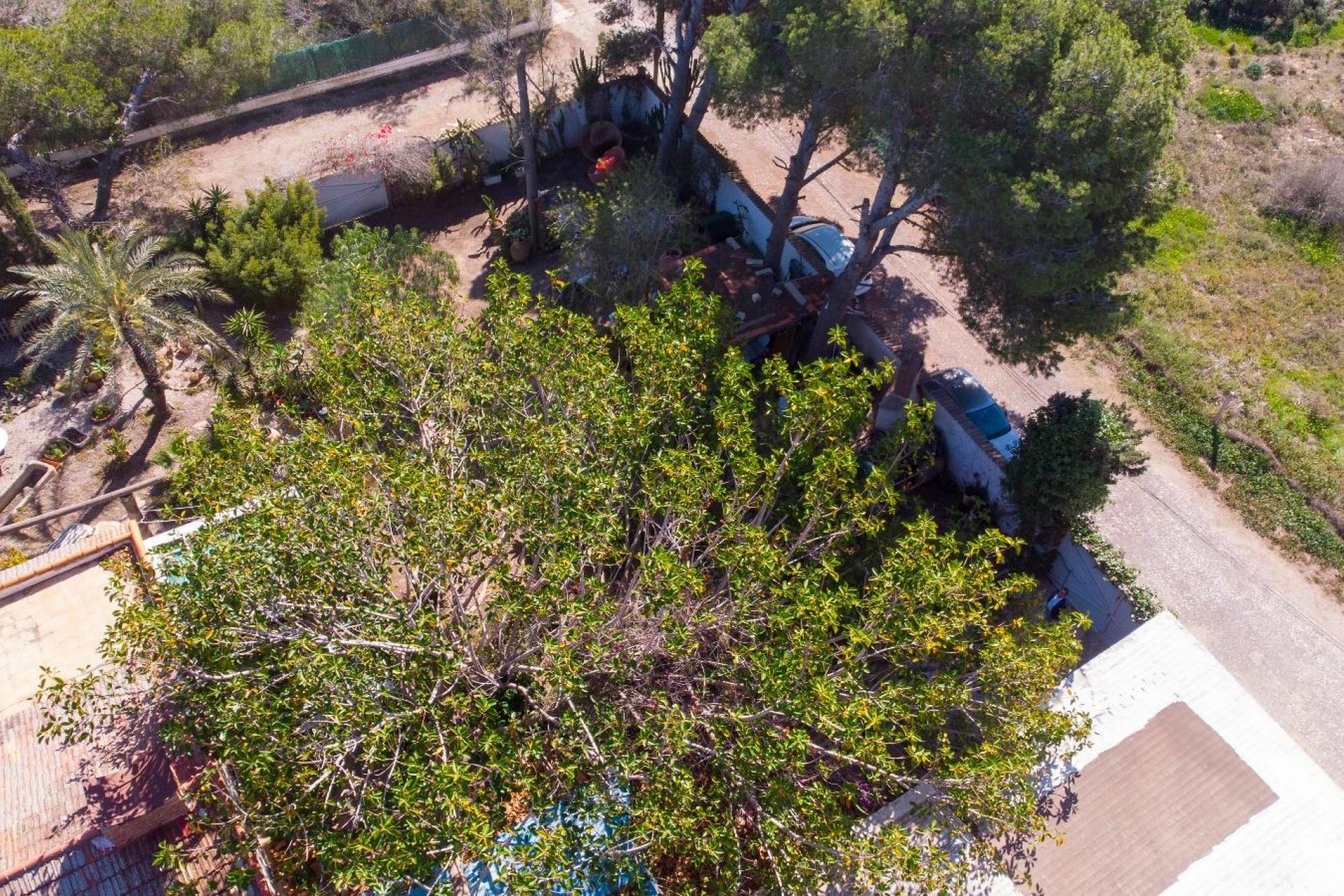 Herverkoop - Villa -
Orihuela Costa - Lomas De Cabo Roig-los Dolses