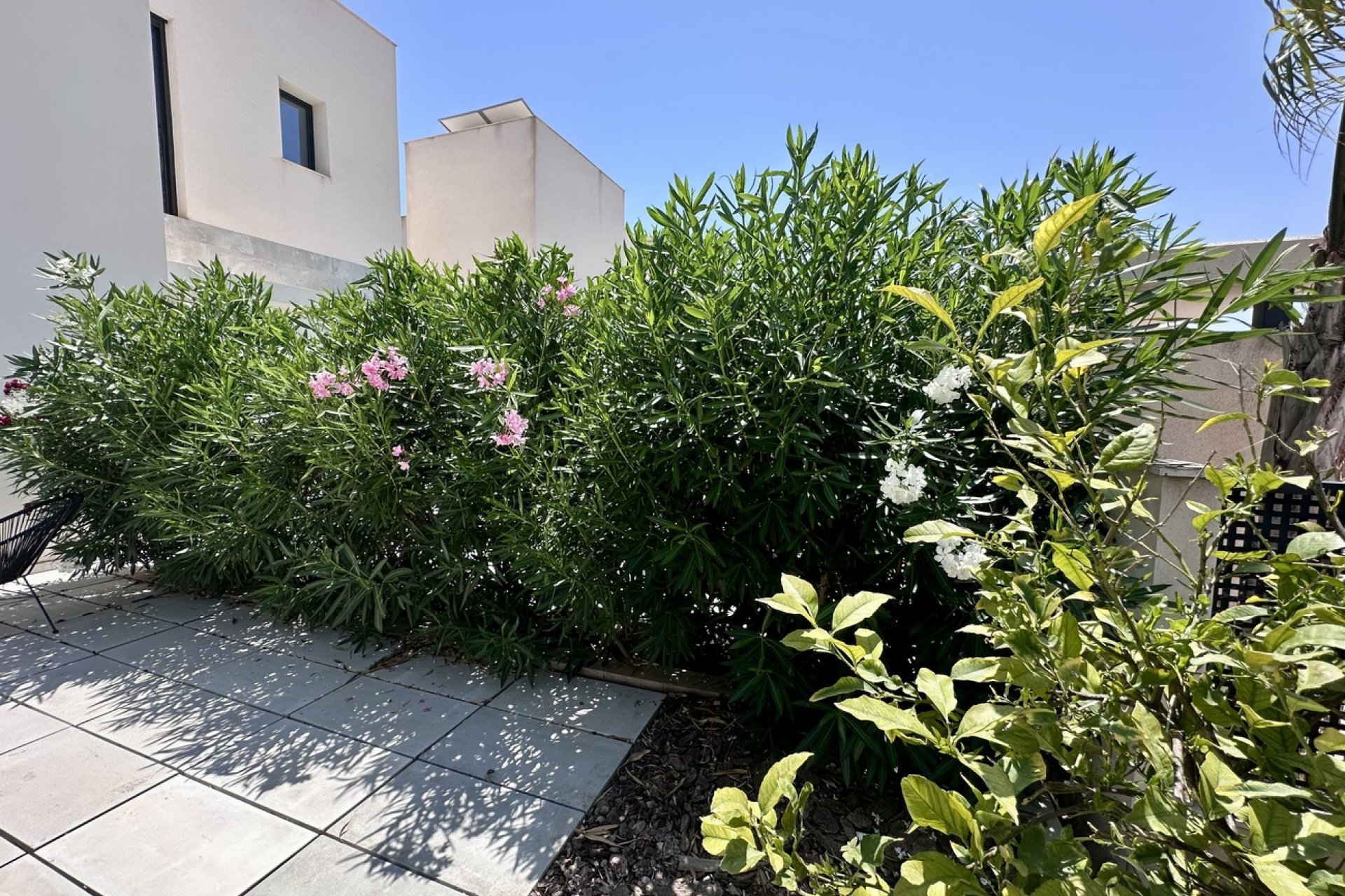 Herverkoop - Villa -
Rojales Hills - Costa Blanca