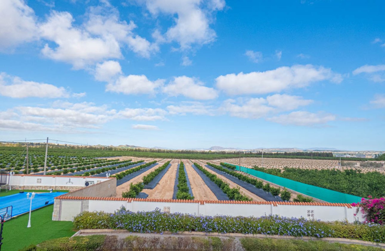 Herverkoop - Villa -
San Miguel de Salinas - Inland