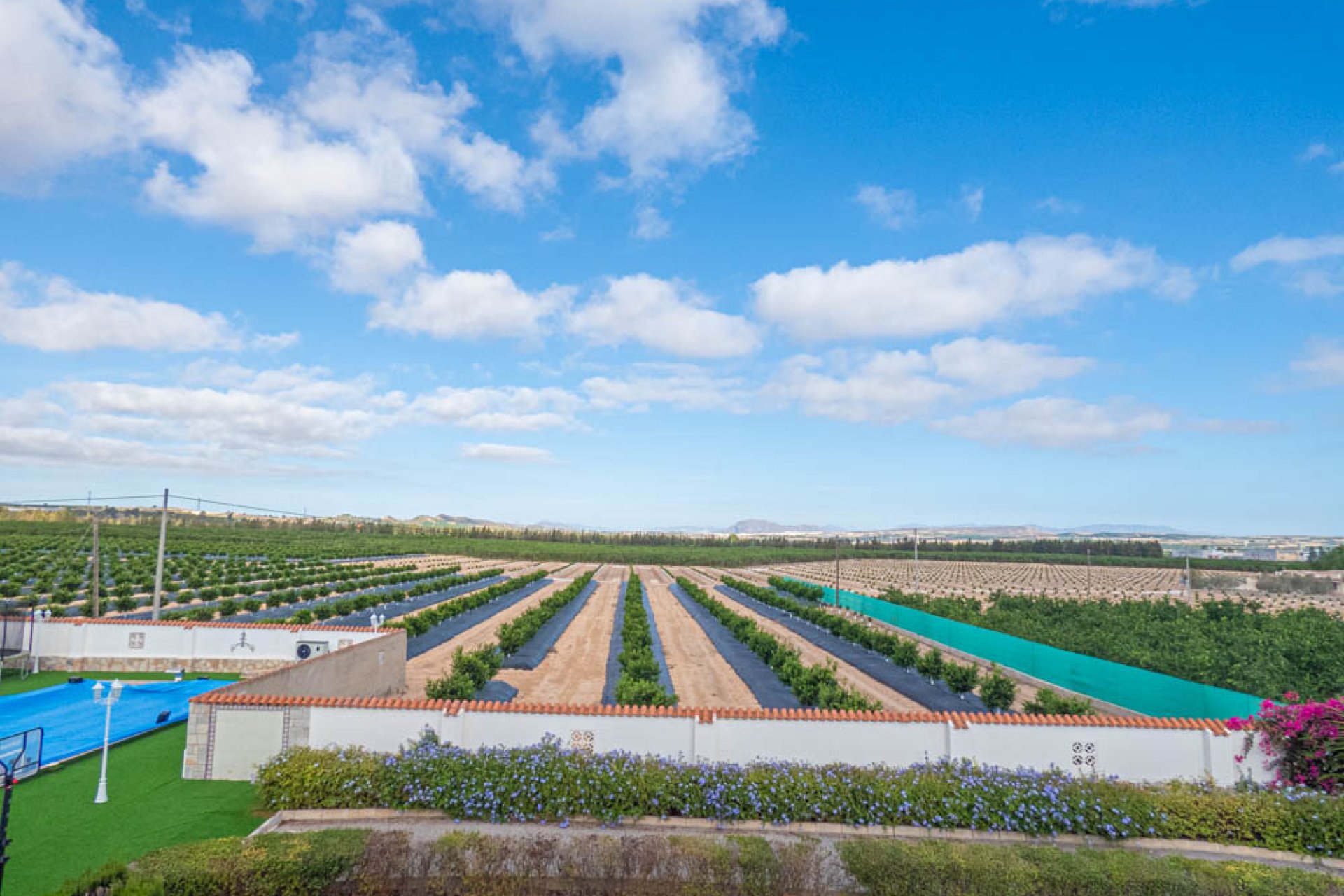 Herverkoop - Villa -
San Miguel de Salinas - Inland