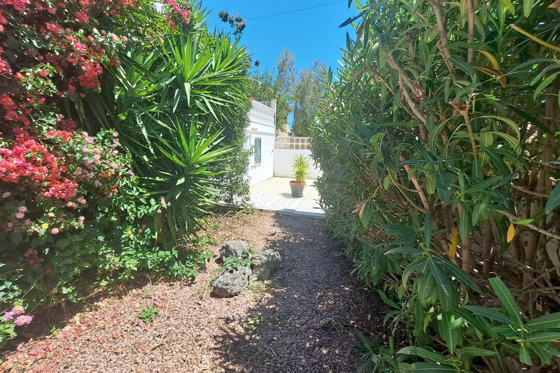 Herverkoop - Villa -
San Miguel de Salinas - Inland