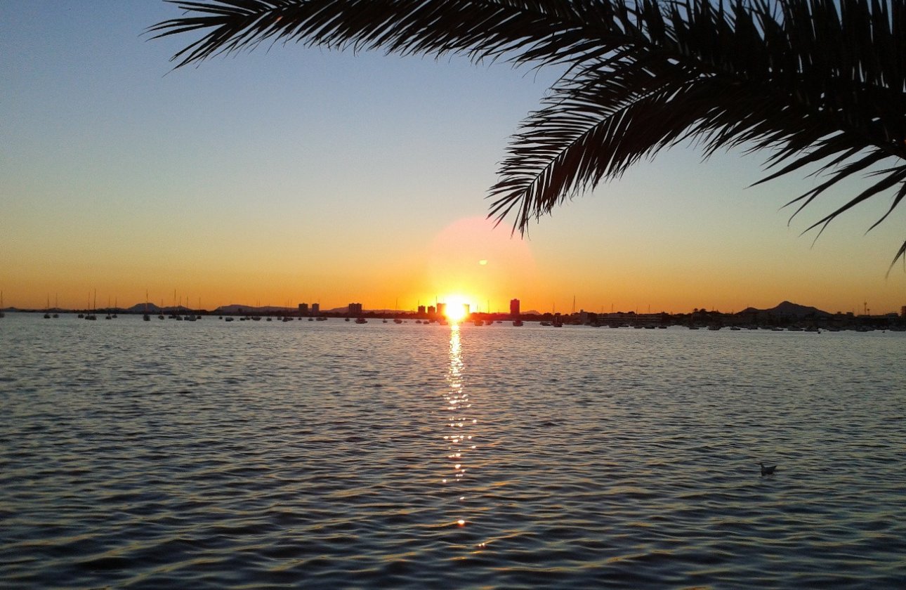 Herverkoop - Villa -
Torre de la Horadada - Costa Blanca